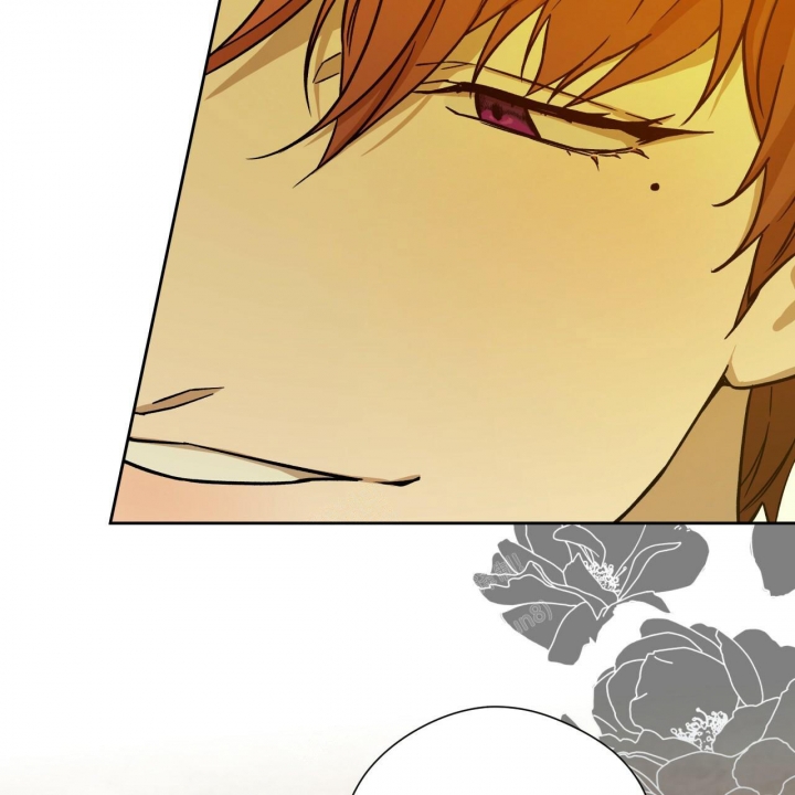 《夜的奖励》漫画最新章节第123话免费下拉式在线观看章节第【32】张图片