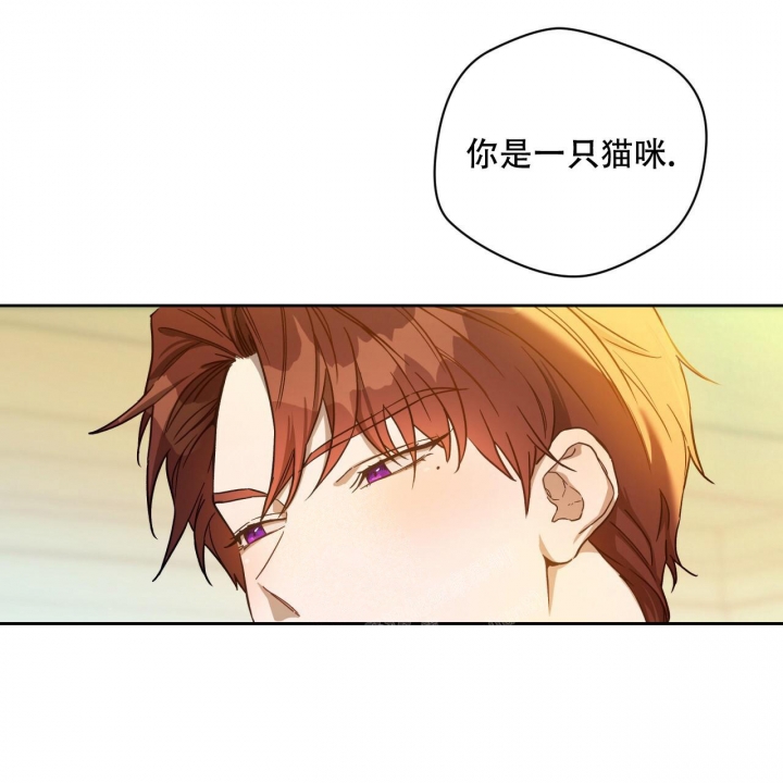 《夜的奖励》漫画最新章节第123话免费下拉式在线观看章节第【55】张图片