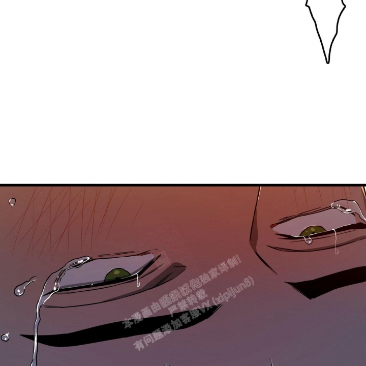 《夜的奖励》漫画最新章节第103话免费下拉式在线观看章节第【9】张图片