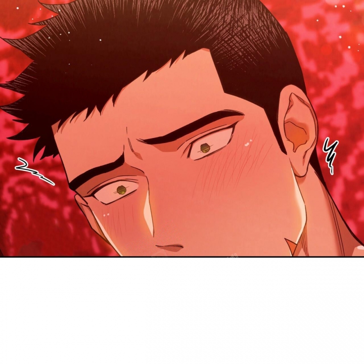 《夜的奖励》漫画最新章节第135话免费下拉式在线观看章节第【12】张图片