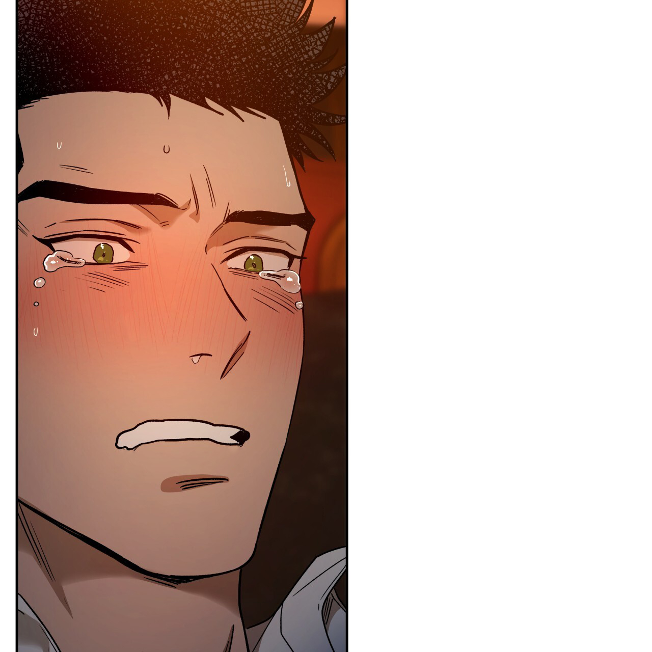 《夜的奖励》漫画最新章节第161话免费下拉式在线观看章节第【71】张图片