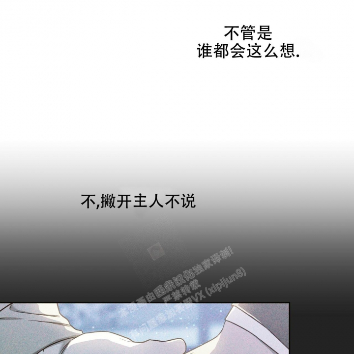 《夜的奖励》漫画最新章节第115话免费下拉式在线观看章节第【5】张图片