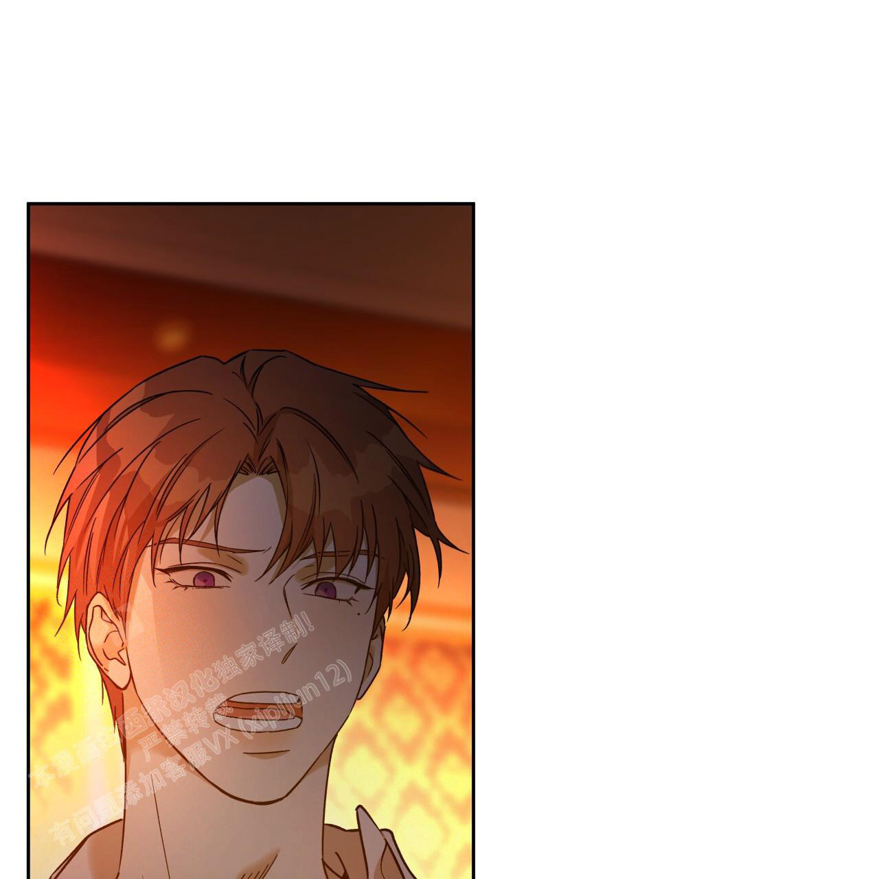 《夜的奖励》漫画最新章节第159话免费下拉式在线观看章节第【51】张图片