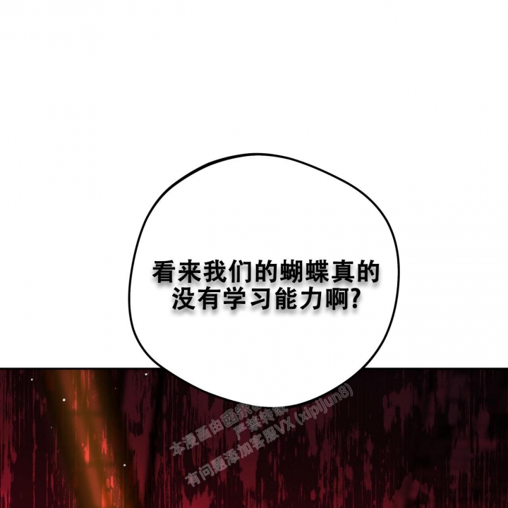 《夜的奖励》漫画最新章节第135话免费下拉式在线观看章节第【40】张图片