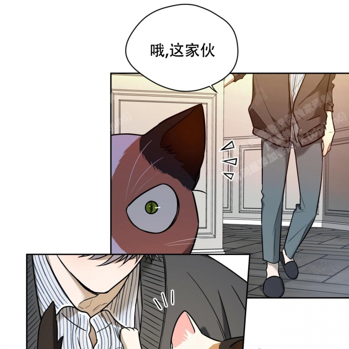 《夜的奖励》漫画最新章节第89话免费下拉式在线观看章节第【51】张图片