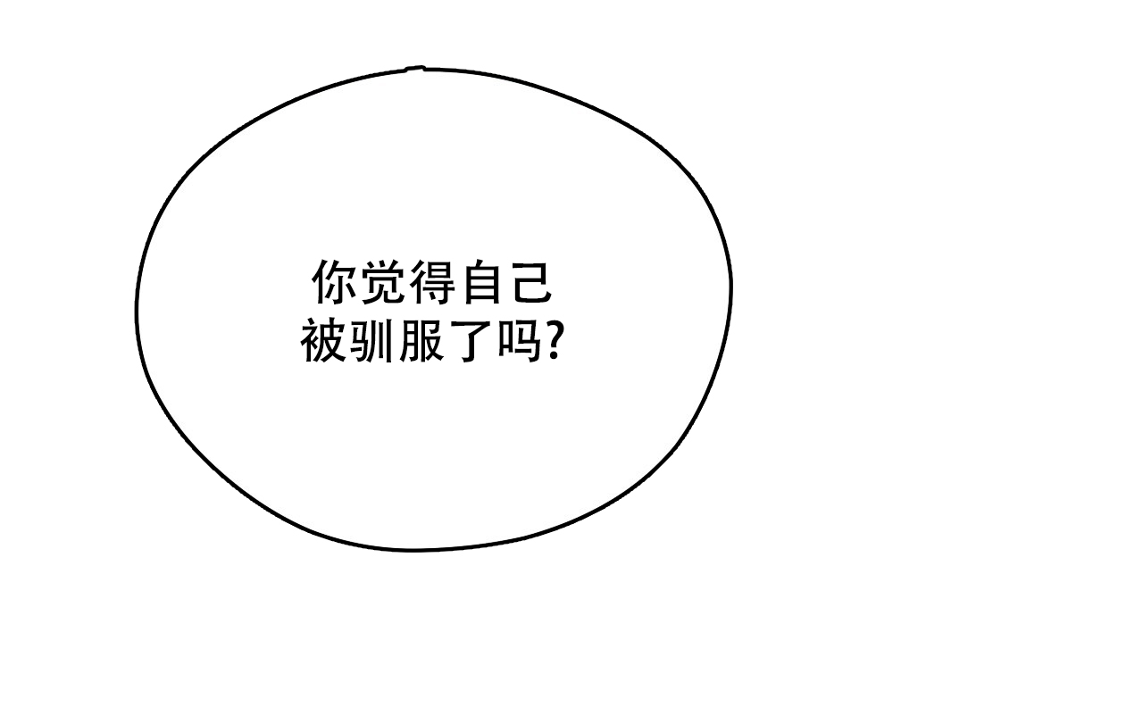 《夜的奖励》漫画最新章节第161话免费下拉式在线观看章节第【45】张图片
