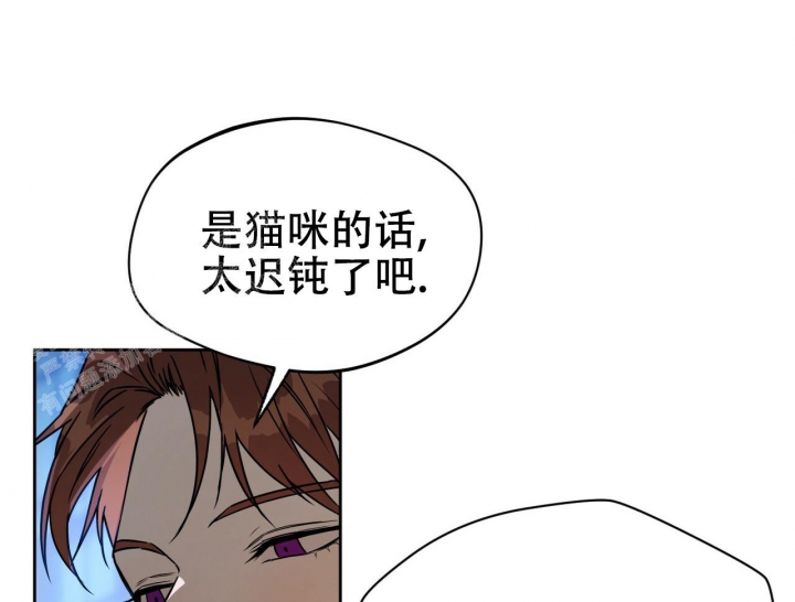 《夜的奖励》漫画最新章节第82话免费下拉式在线观看章节第【45】张图片