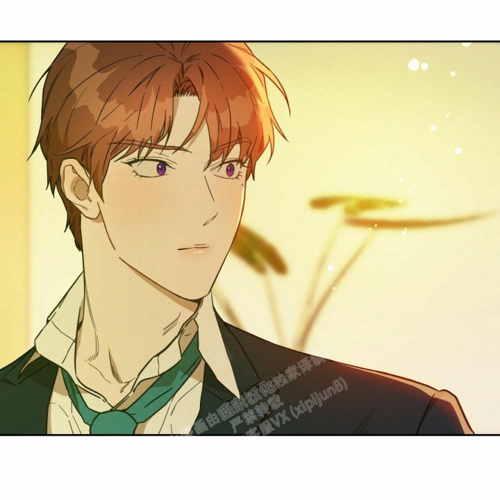 《夜的奖励》漫画最新章节第123话免费下拉式在线观看章节第【27】张图片
