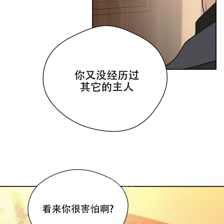 《夜的奖励》漫画最新章节第118话免费下拉式在线观看章节第【38】张图片