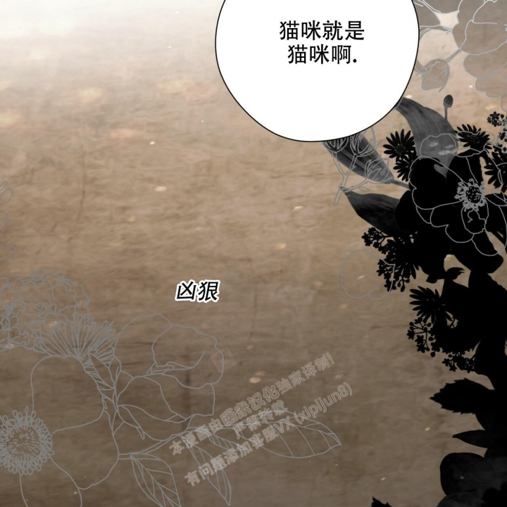《夜的奖励》漫画最新章节第123话免费下拉式在线观看章节第【33】张图片