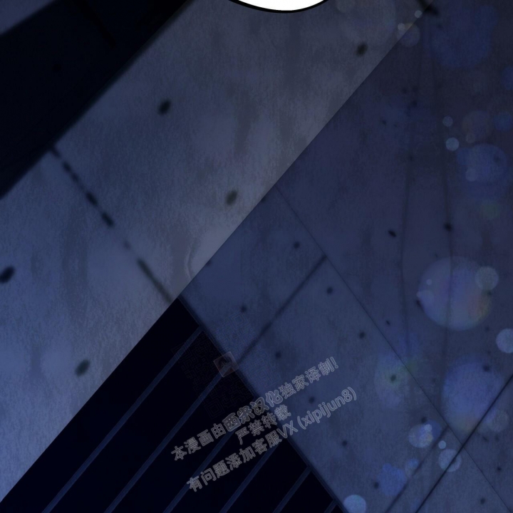 《夜的奖励》漫画最新章节第135话免费下拉式在线观看章节第【46】张图片