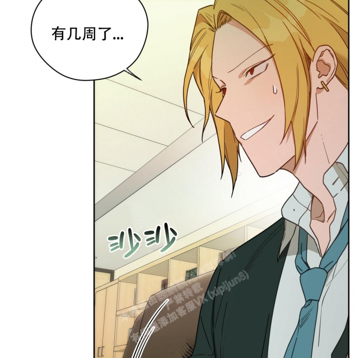 《夜的奖励》漫画最新章节第120话免费下拉式在线观看章节第【16】张图片
