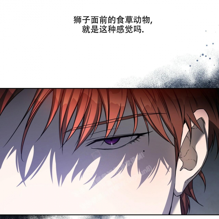 《夜的奖励》漫画最新章节第98话免费下拉式在线观看章节第【5】张图片