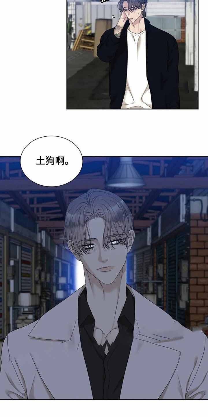 《错位关系》漫画最新章节第52话免费下拉式在线观看章节第【4】张图片