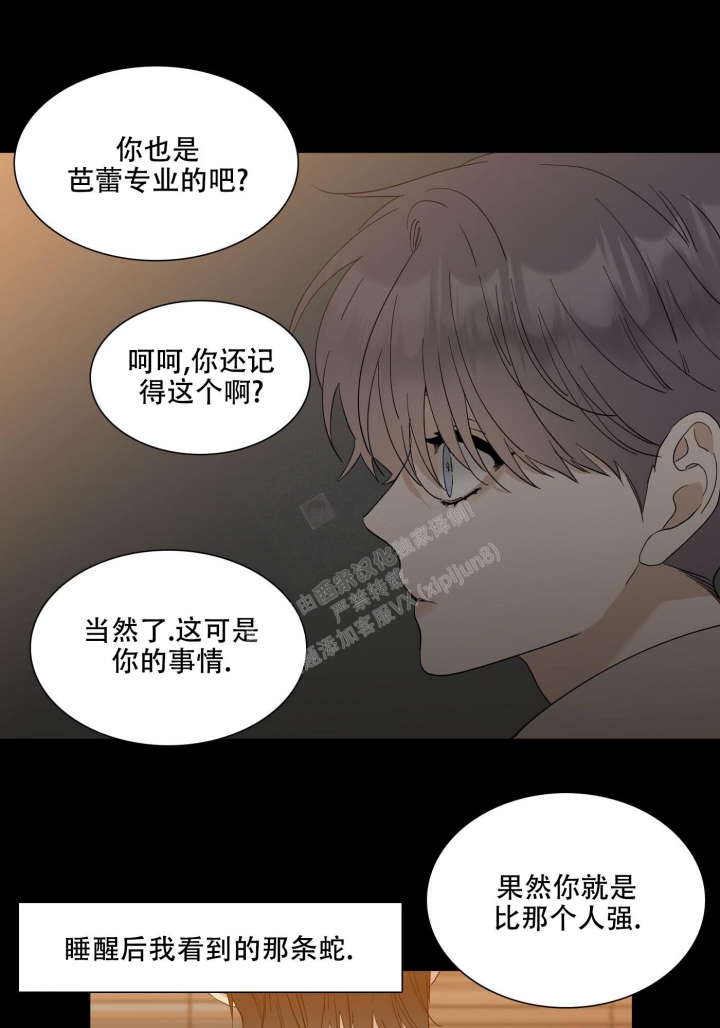 《错位关系》漫画最新章节第1话免费下拉式在线观看章节第【4】张图片