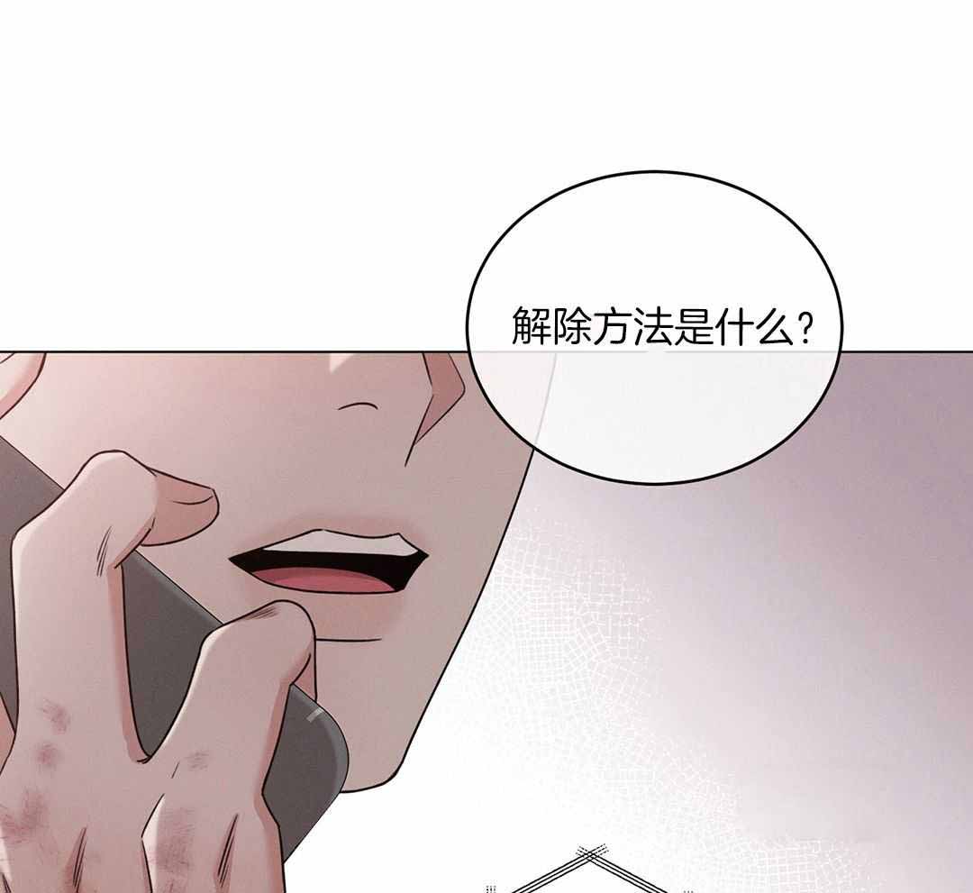 《危险关系》漫画最新章节第77话免费下拉式在线观看章节第【9】张图片