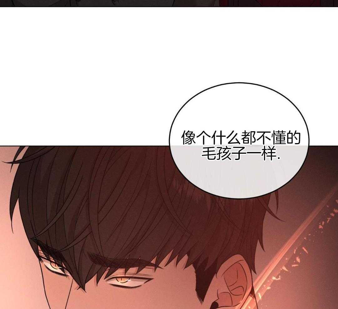 《危险关系》漫画最新章节第84话免费下拉式在线观看章节第【33】张图片