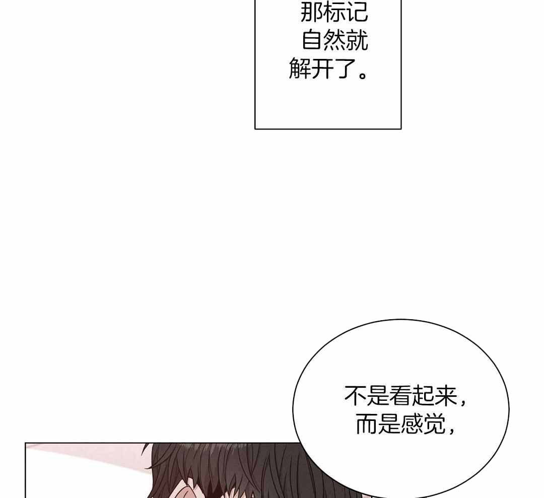 《危险关系》漫画最新章节第78话免费下拉式在线观看章节第【34】张图片