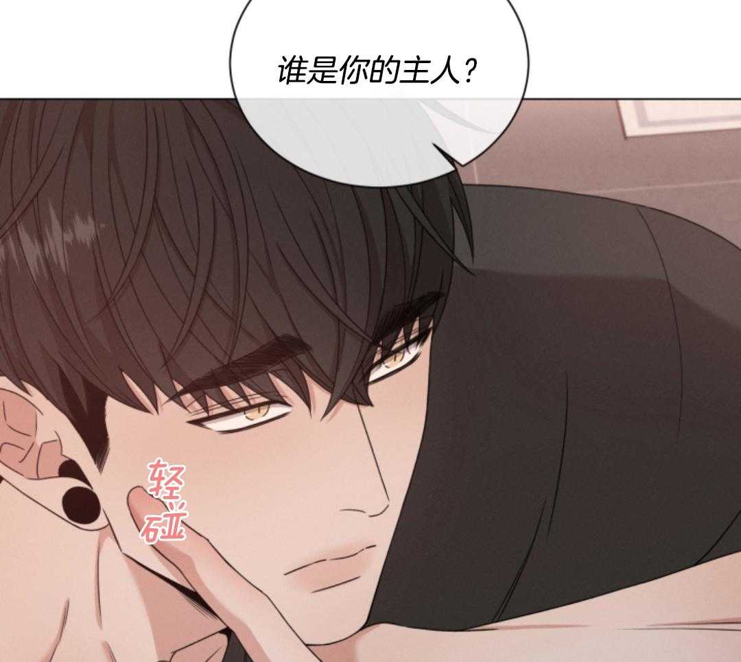 《危险关系》漫画最新章节第79话免费下拉式在线观看章节第【33】张图片