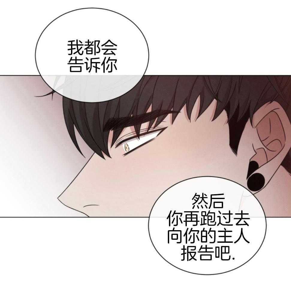 《危险关系》漫画最新章节第75话免费下拉式在线观看章节第【30】张图片