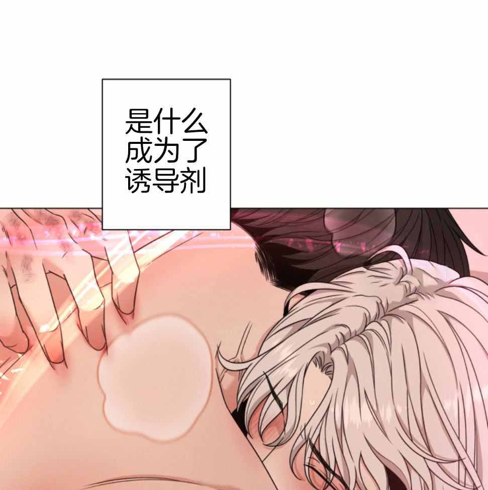 《危险关系》漫画最新章节第74话免费下拉式在线观看章节第【2】张图片