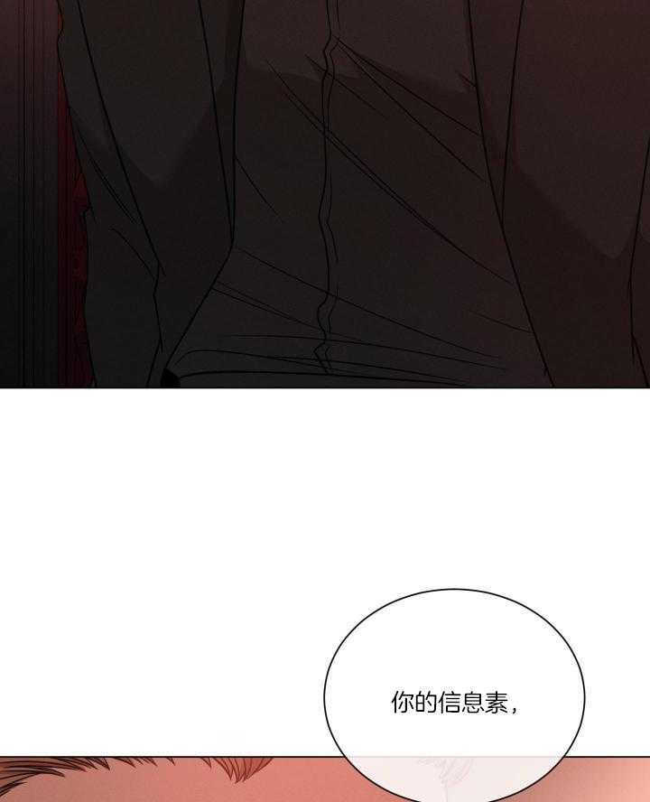 《危险关系》漫画最新章节第65话免费下拉式在线观看章节第【3】张图片