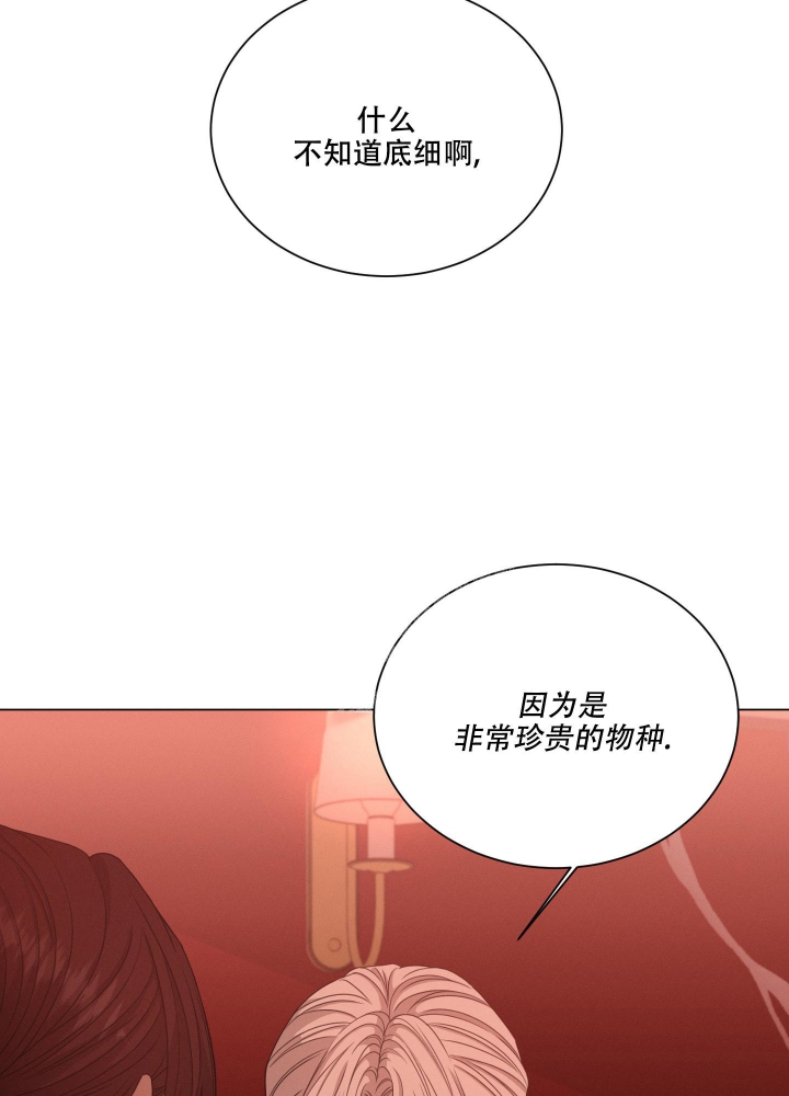 《危险关系》漫画最新章节第23话免费下拉式在线观看章节第【41】张图片