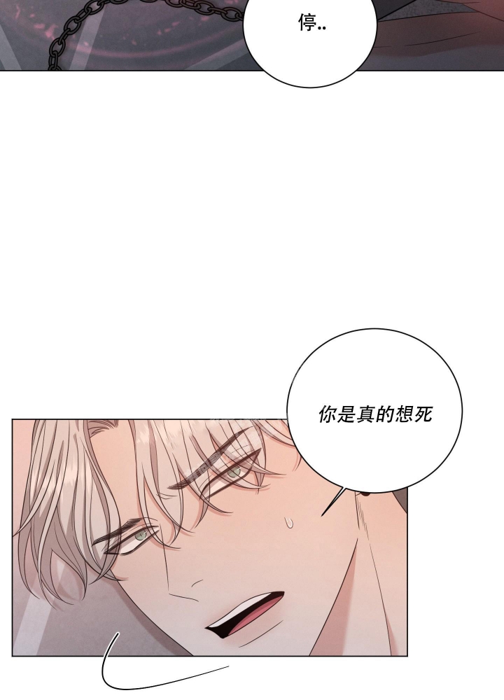 《危险关系》漫画最新章节第16话免费下拉式在线观看章节第【31】张图片