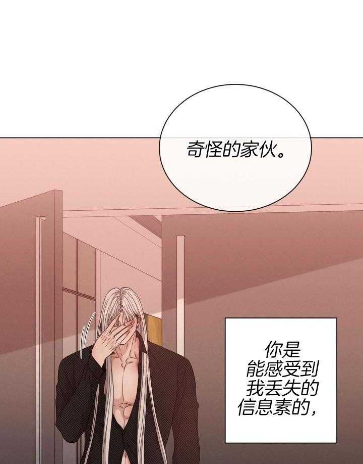 《危险关系》漫画最新章节第50话免费下拉式在线观看章节第【31】张图片