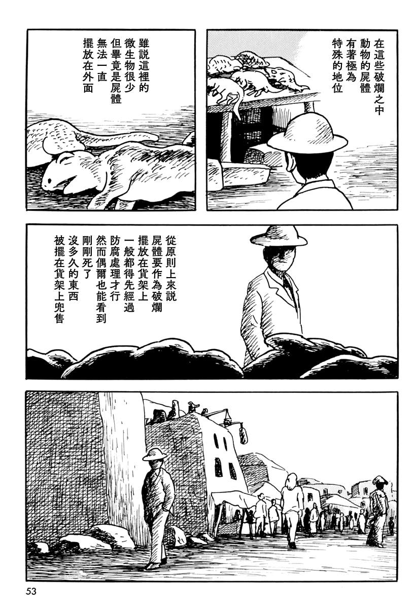 《诸星大二郎短篇》漫画最新章节来自遥远的国度免费下拉式在线观看章节第【15】张图片