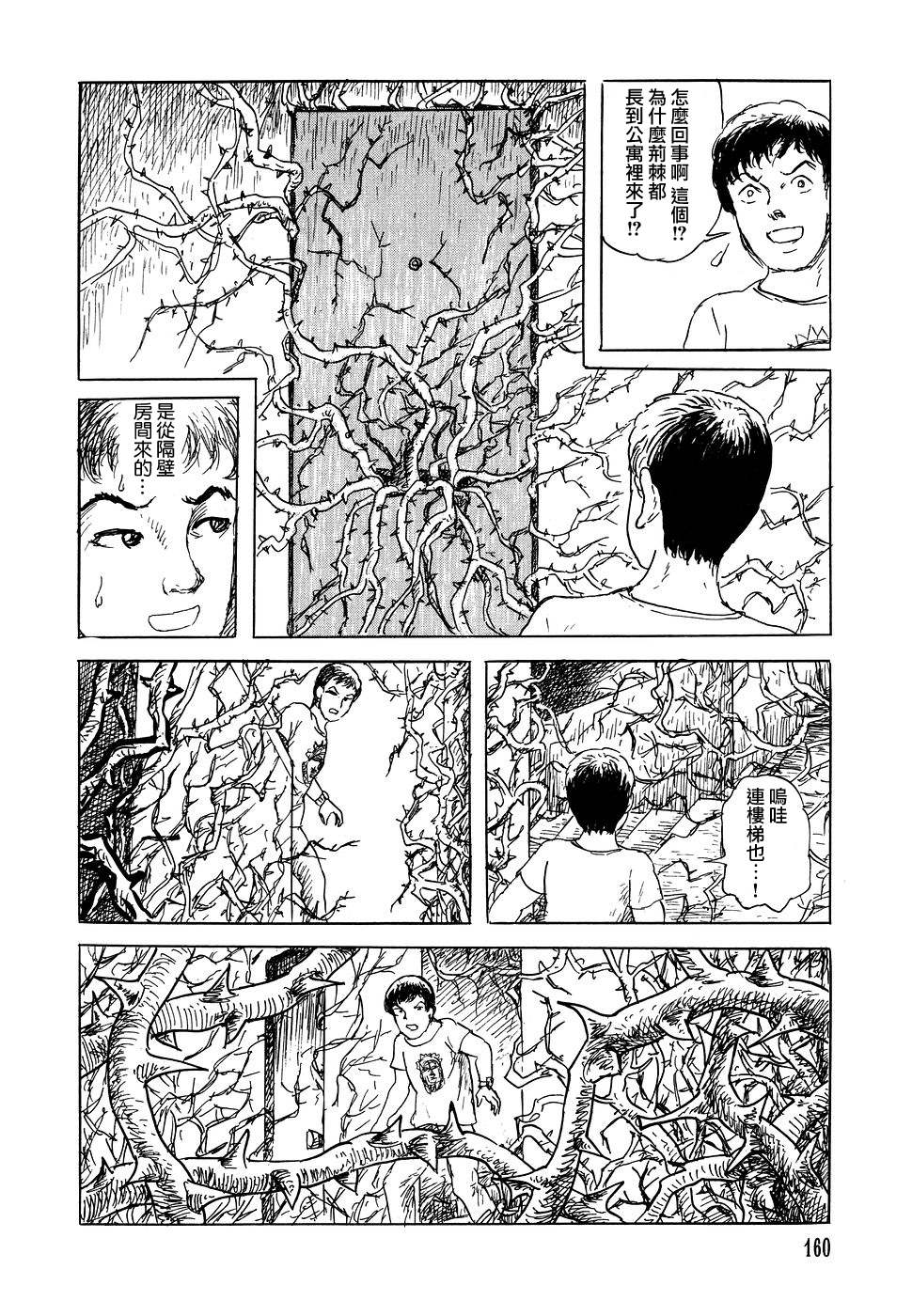 《诸星大二郎短篇》漫画最新章节荆棘公主免费下拉式在线观看章节第【12】张图片