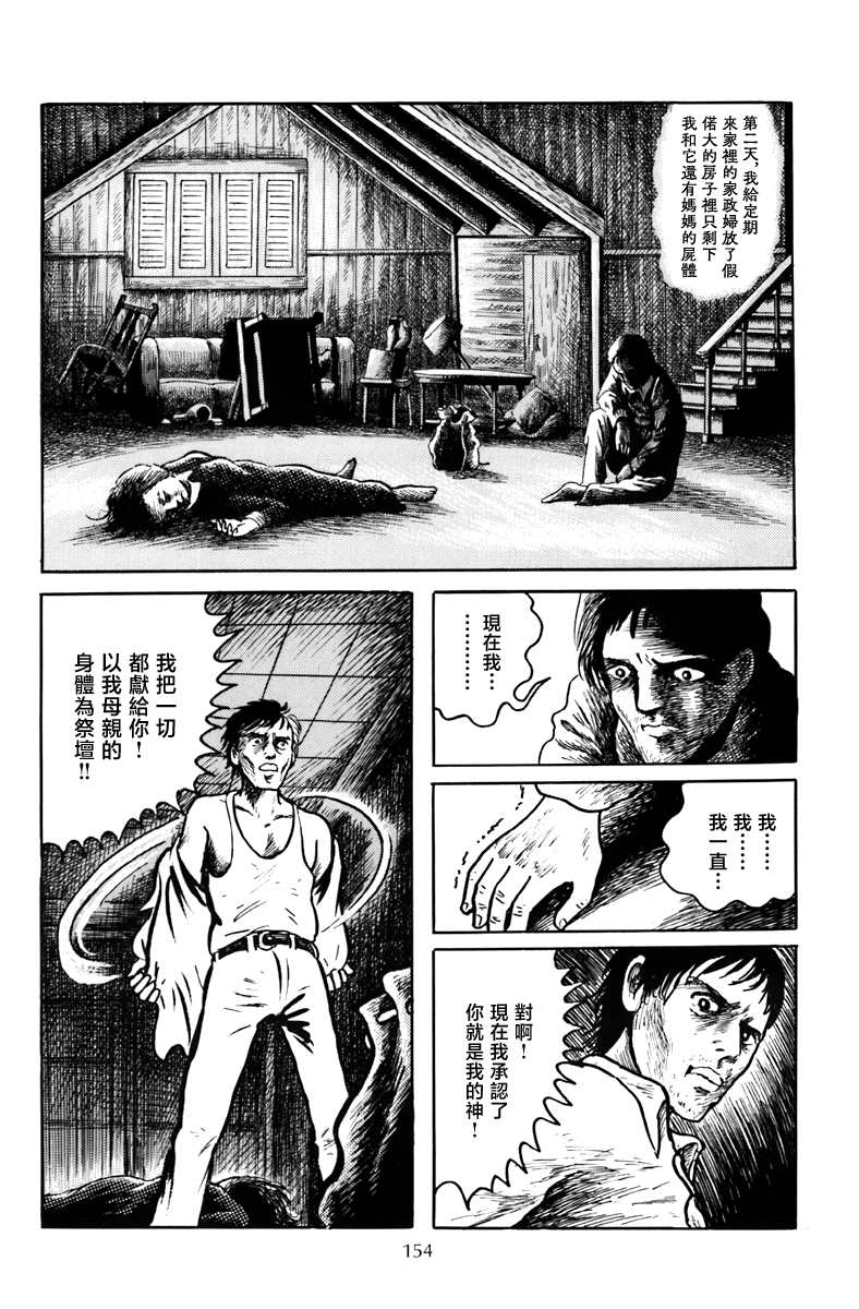 《诸星大二郎短篇》漫画最新章节袋中黑影免费下拉式在线观看章节第【22】张图片