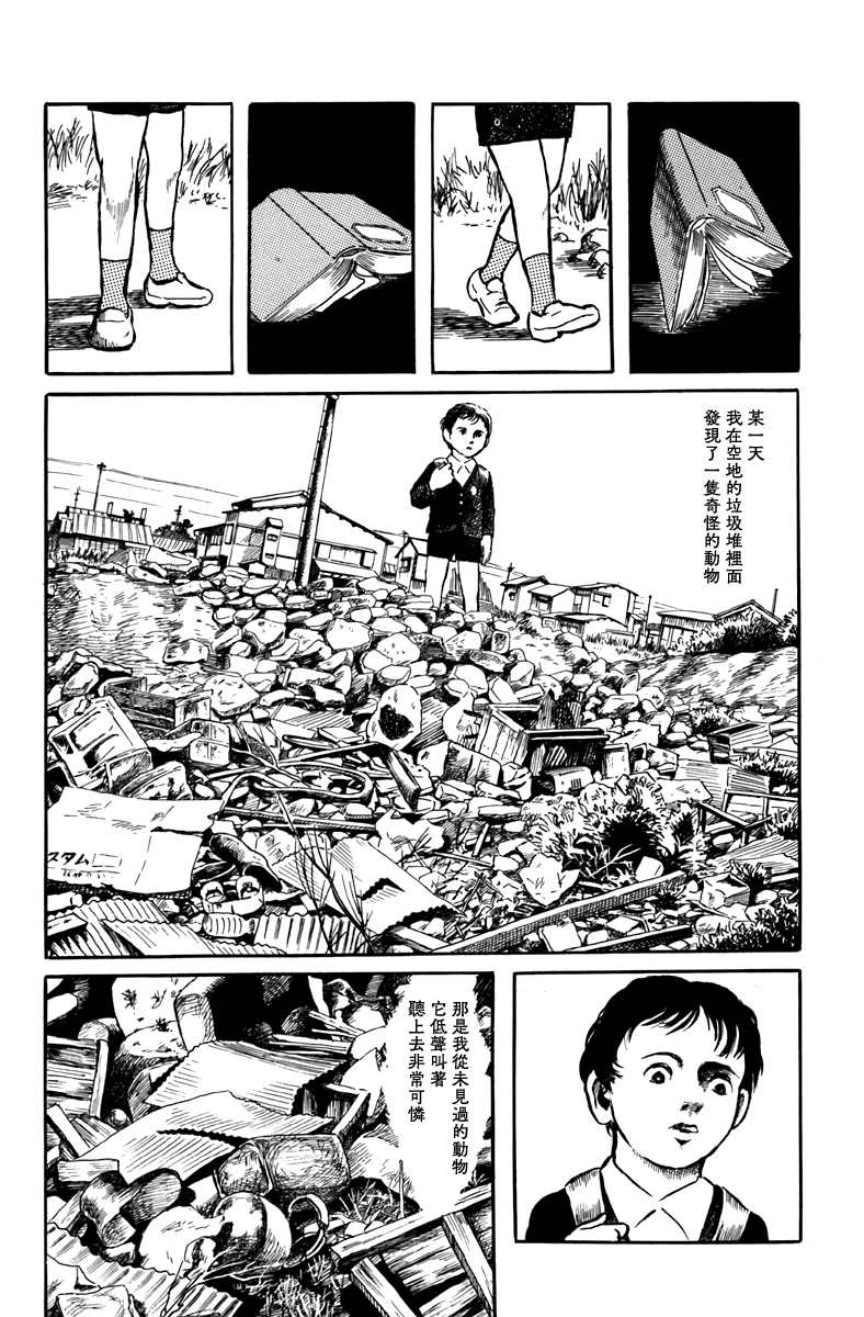 《诸星大二郎短篇》漫画最新章节袋中黑影免费下拉式在线观看章节第【6】张图片