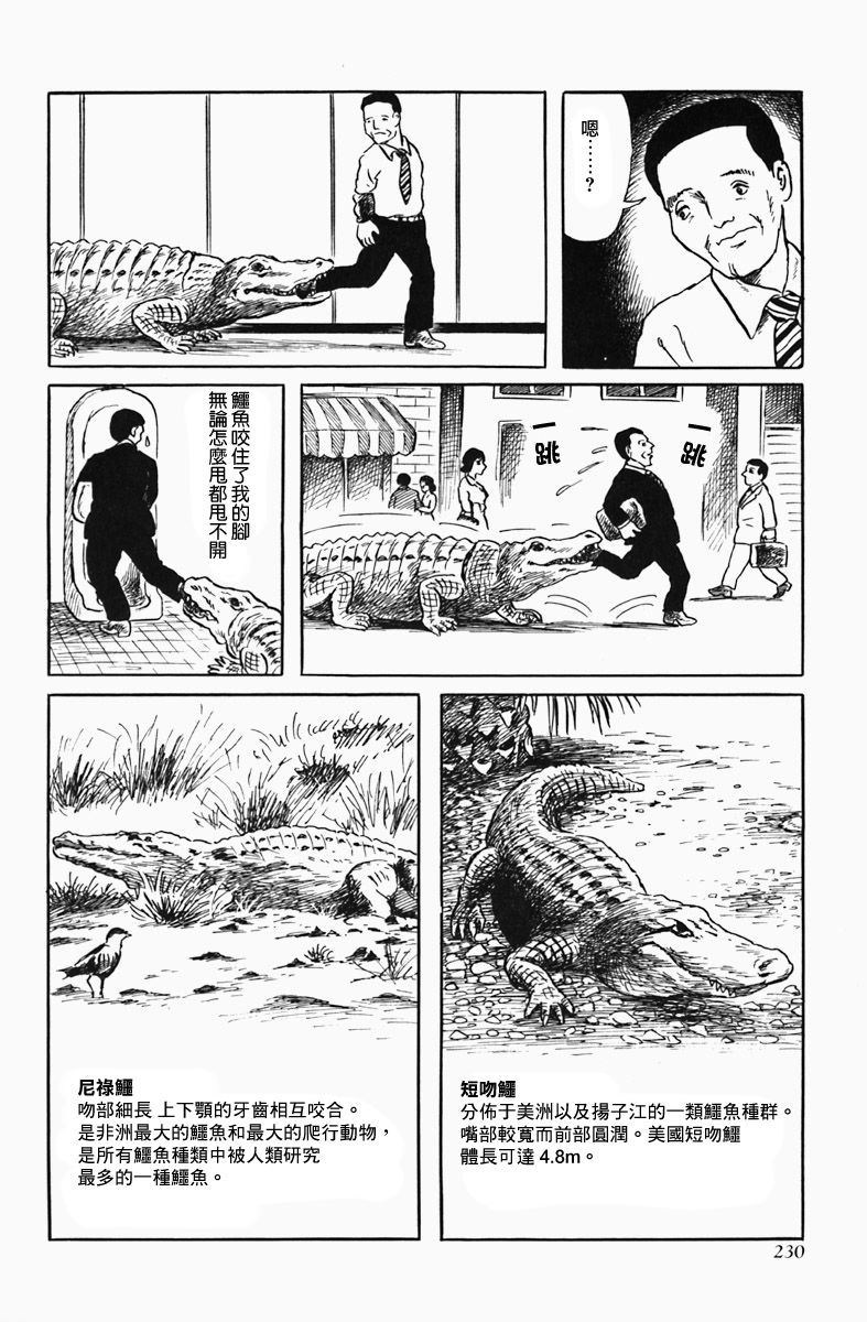 《诸星大二郎短篇》漫画最新章节短吻鳄免费下拉式在线观看章节第【7】张图片
