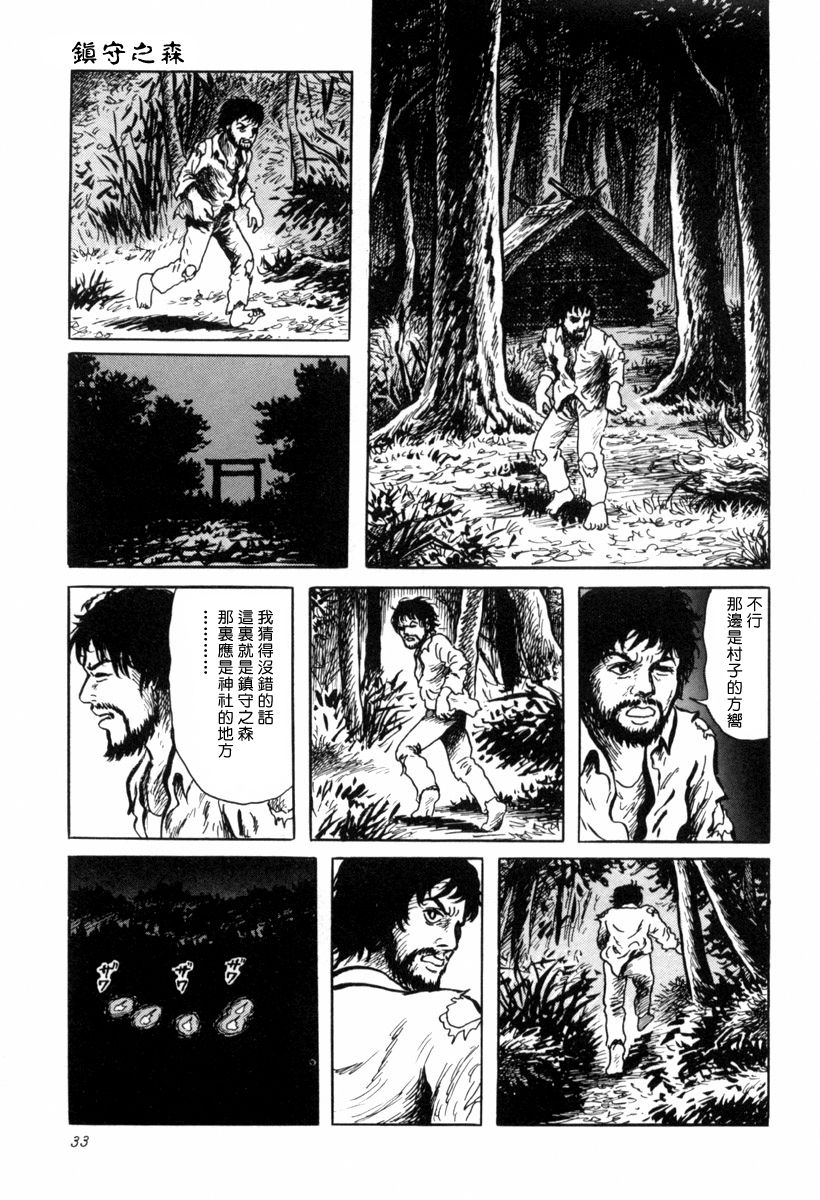 《诸星大二郎短篇》漫画最新章节镇守之森免费下拉式在线观看章节第【17】张图片