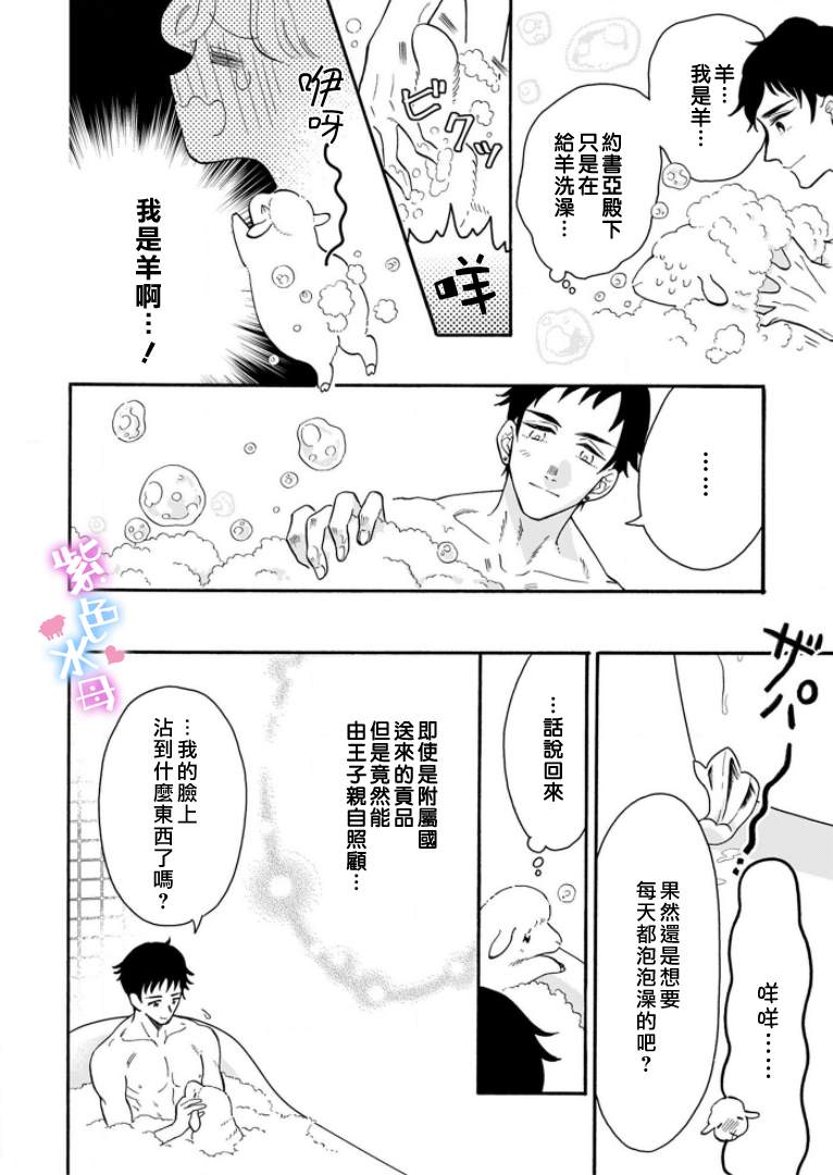 《王太子殿下的毛茸茸隐秘爱人》漫画最新章节第1话免费下拉式在线观看章节第【18】张图片