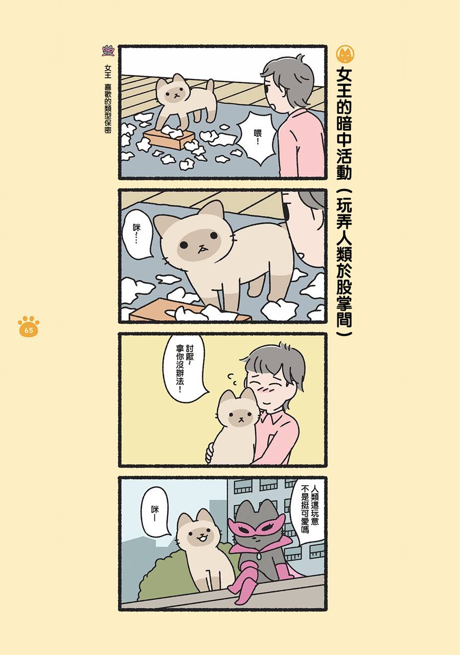 《邪恶地下社团猫》漫画最新章节第7话免费下拉式在线观看章节第【5】张图片