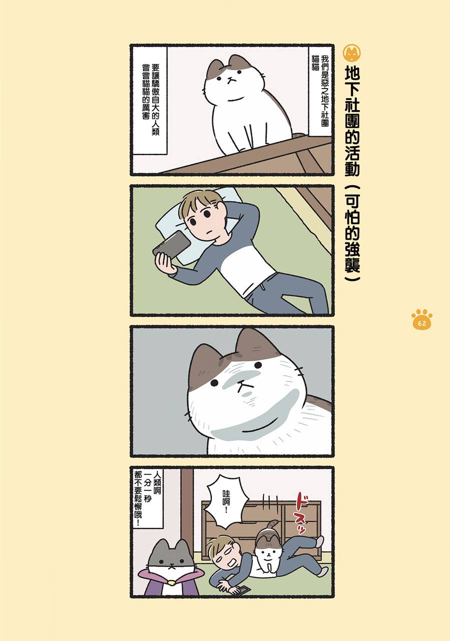 《邪恶地下社团猫》漫画最新章节第7话免费下拉式在线观看章节第【2】张图片