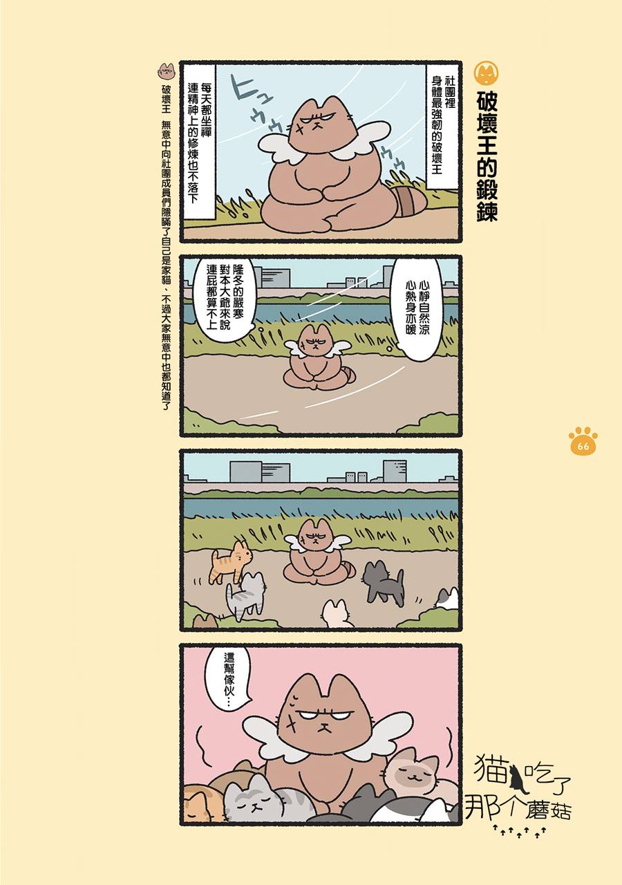 《邪恶地下社团猫》漫画最新章节第7话免费下拉式在线观看章节第【6】张图片