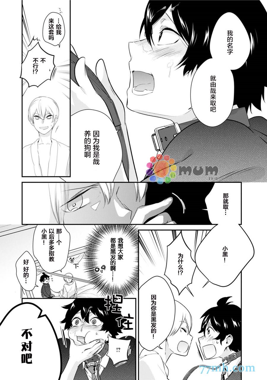 《转3圈叫汪汪》漫画最新章节第1话免费下拉式在线观看章节第【29】张图片