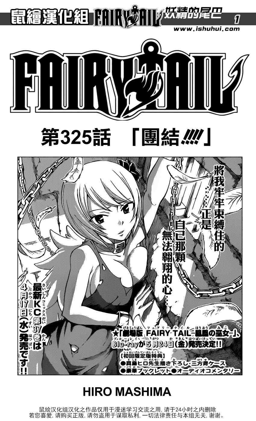 《妖精的尾巴》漫画最新章节第325话免费下拉式在线观看章节第【1】张图片