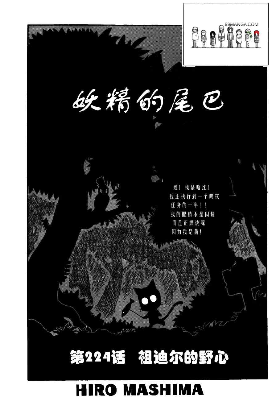 《妖精的尾巴》漫画最新章节第224话免费下拉式在线观看章节第【1】张图片