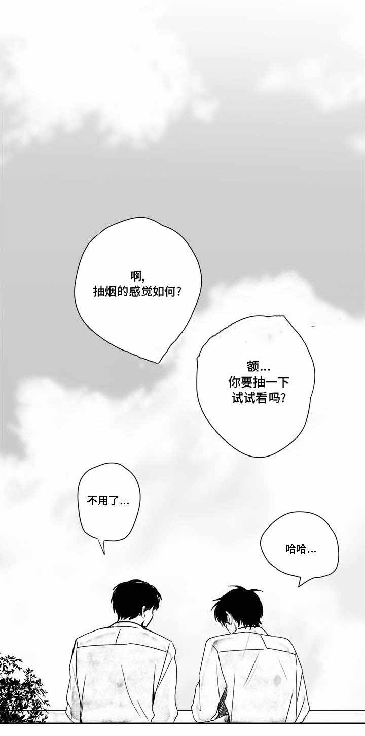 《情味跟踪/花戏/无忧劫》漫画最新章节第33话免费下拉式在线观看章节第【13】张图片