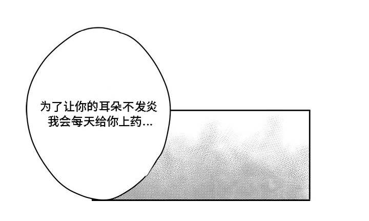 《情味跟踪/花戏/无忧劫》漫画最新章节第36话免费下拉式在线观看章节第【33】张图片