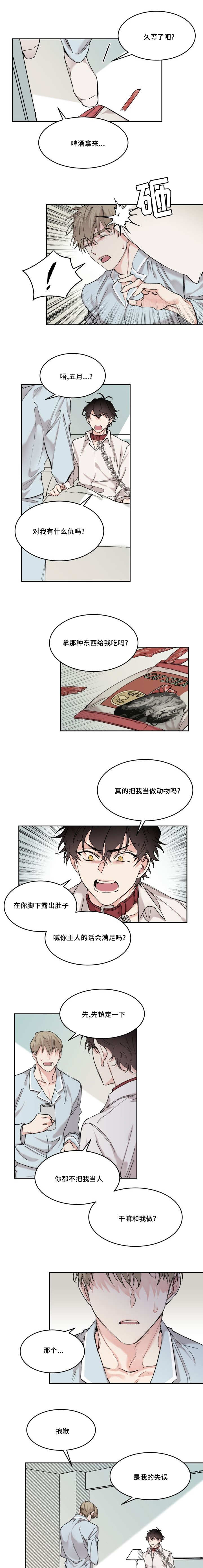 《猫的项圈》漫画最新章节第16话免费下拉式在线观看章节第【3】张图片