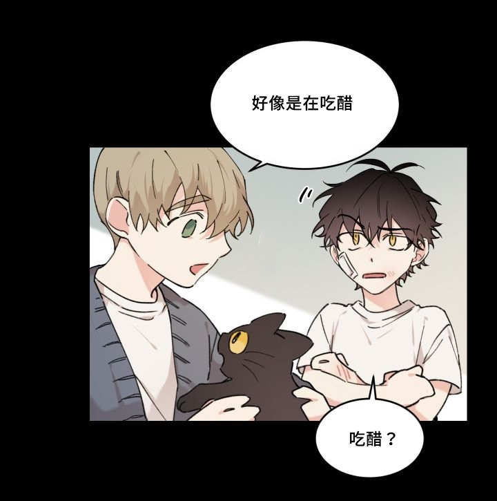 《猫的项圈》漫画最新章节第30话免费下拉式在线观看章节第【33】张图片