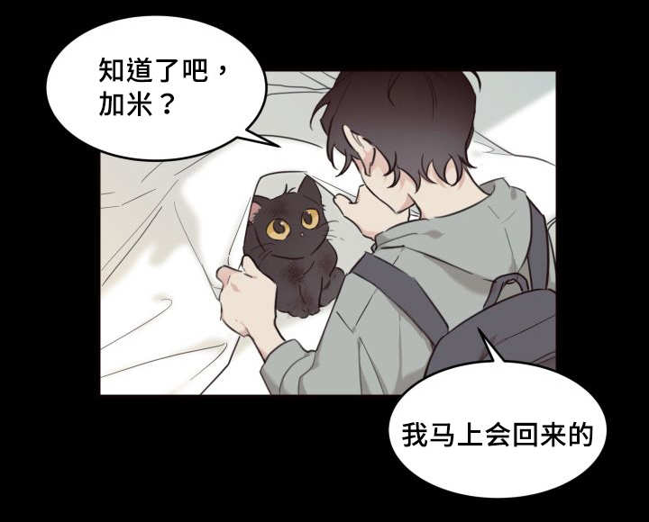 《猫的项圈》漫画最新章节第26话免费下拉式在线观看章节第【35】张图片