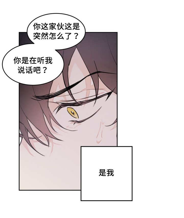 《猫的项圈》漫画最新章节第47话免费下拉式在线观看章节第【37】张图片