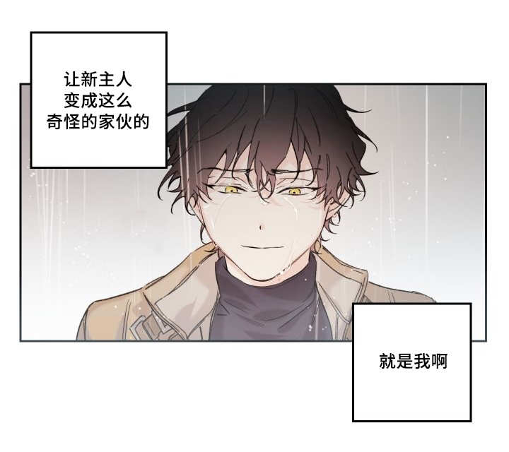 《猫的项圈》漫画最新章节第49话免费下拉式在线观看章节第【59】张图片