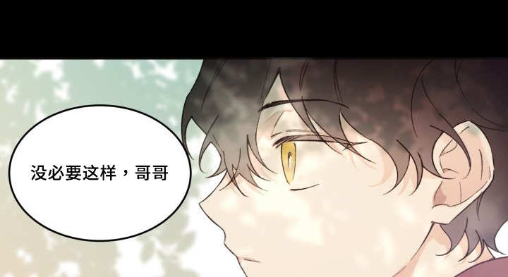 《猫的项圈》漫画最新章节第47话免费下拉式在线观看章节第【13】张图片